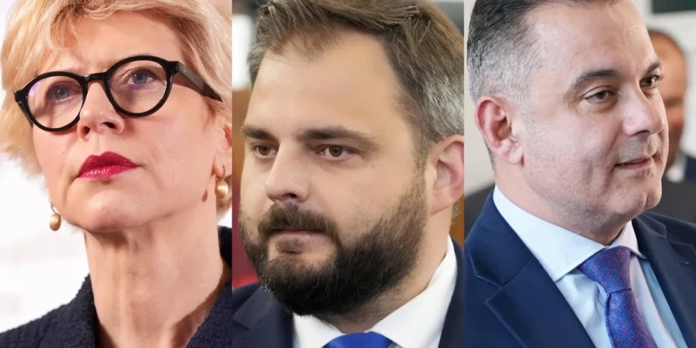 В правящей партии "Новое Единство" разгорелась борьба за пост председателя.