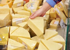 Saražotās piena produkcijas daudzums pārdošanai pirmajā pusgadā pieaudzis par 3,5%