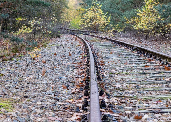 Из-за угрозы со стороны РФ в Европе хотят восстановить особую железнодорожную линию