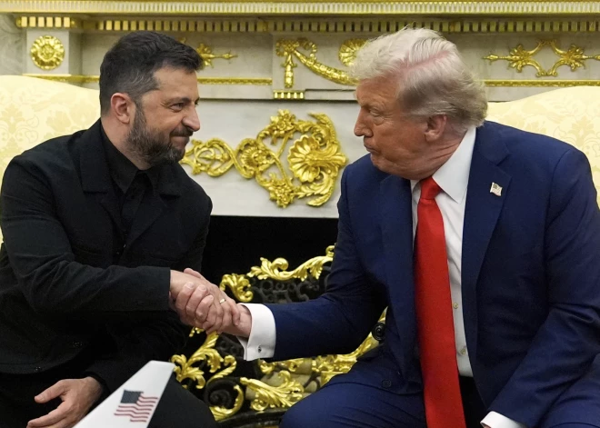 Встреча Дональда Трампа и Владимира Зеленского в Вашингтоне: главное