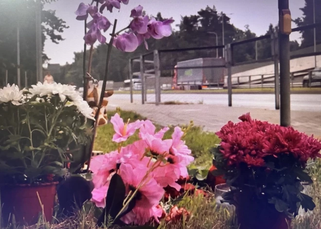 В Риге на переходе насмерть сбили 28-летнюю Катрину, у которой осталась 8-летняя дочь: семья ищет очевидцев трагедии