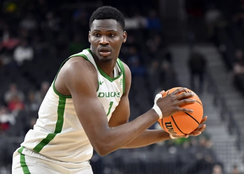 Pēc sekmīgas NCAA karjeras Oregonas "Ducks" rindās N'Falī Dante jau paguvis apbružāties NBA G-līgā un pat izmēģināt spēkus NBA, apliecinot savu atlētiskumu un prasmes bloķēt metienus.