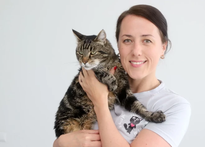 “Ikviens no viņiem ilgojas tikt mīlēts...” Dzīvnieku patversmē “Remi” kaķi bauda dzīvi bez būriem