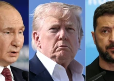 Трамп заявил, что Путин и Зеленский "ладят лучше, чем он думал"