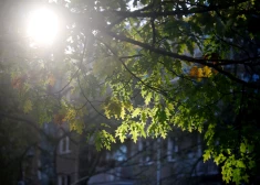 Latvijā ieplūdusi aukstāka gaisa masa - gaisa temperatūra nepārsniegs +19 grādus