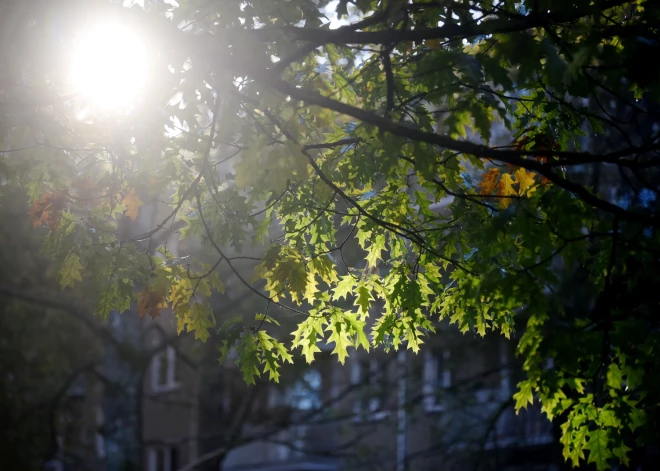 Latvijā ieplūdusi aukstāka gaisa masa - gaisa temperatūra nepārsniegs +19 grādus