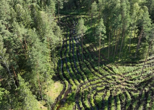 Ilgstošo lietavu dēļ pat pieredzējuši operatori cirsmās saskaras ar nogremdētiem traktoriem. 