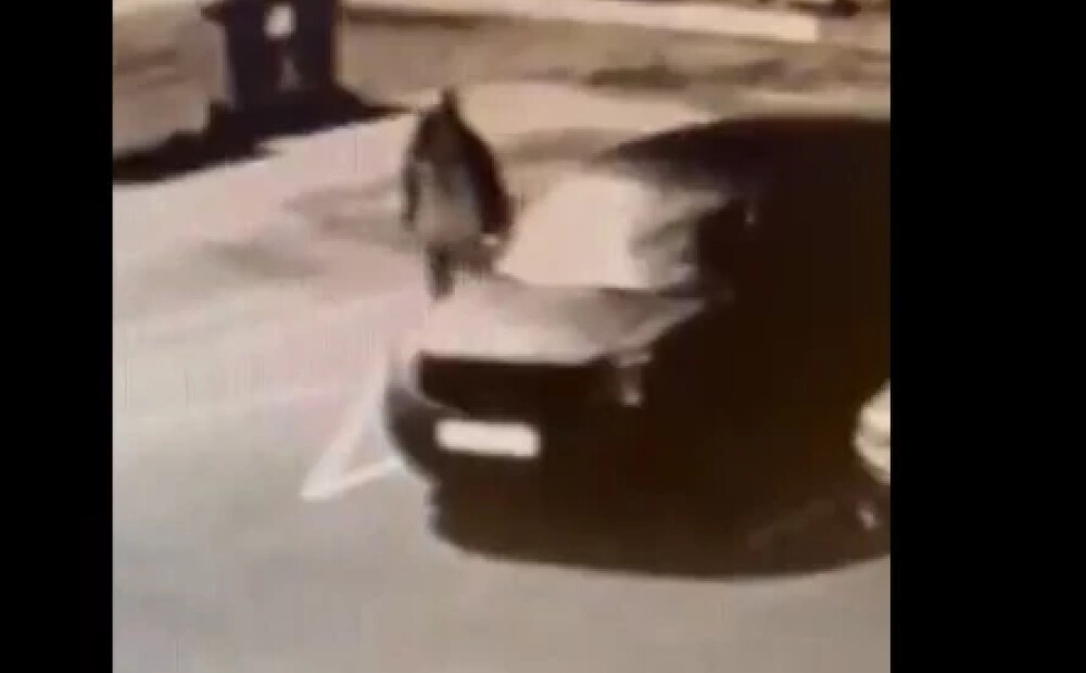 Rīgā uz celiņa sieviete atstājusi segā ietītu jaundzimušo; meklē aculieciniekus