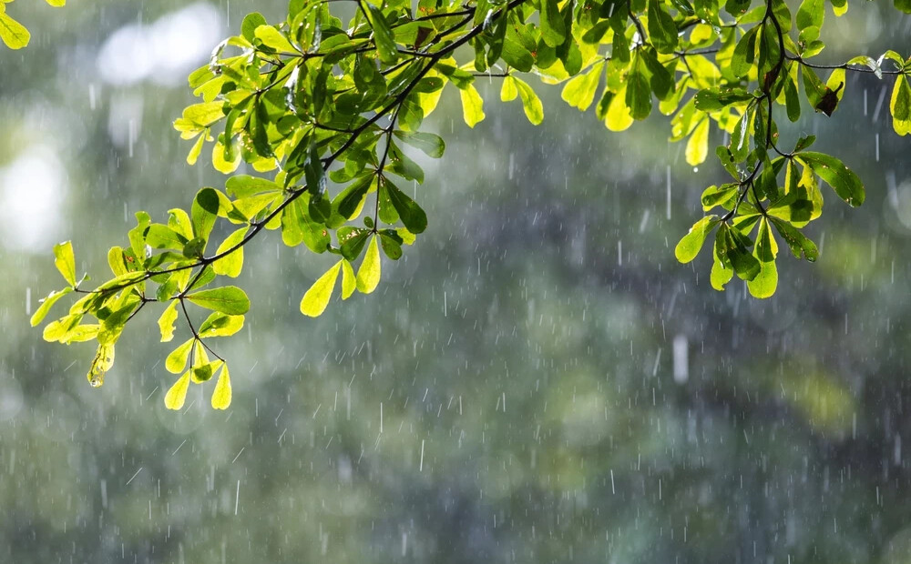 Šodien vietām īslaicīgi līs