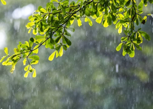 Vietām īslaicīgi uzlīs, prognozē Latvijas Vides, ģeoloģijas un meteoroloģijas centrs.