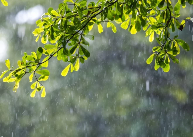 Šodien vietām īslaicīgi līs