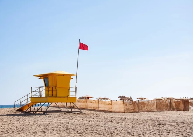 Паника на испанских пляжах: в море замечены редкие, но крайне опасные существа