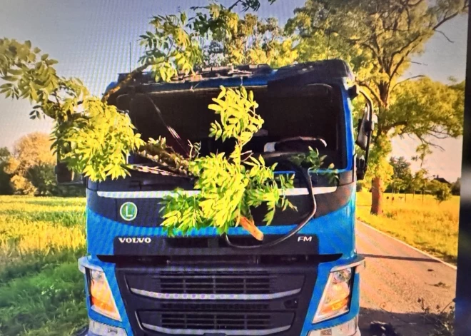 Союзники в беде: латвийские дороги продолжают "класть" военную технику