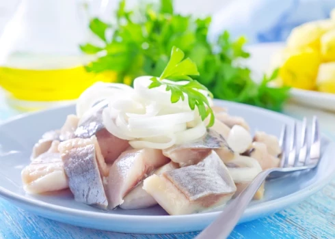 Ātri sālīta treknā siļķe