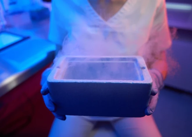 Все больше латвийских женщин выбирают заморозку яйцеклеток