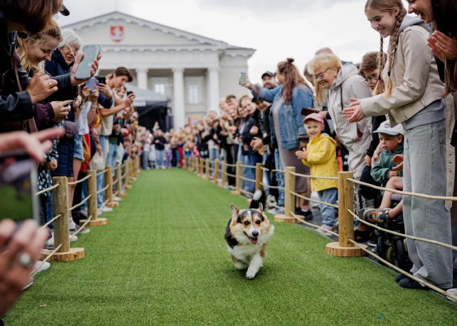 Aizvadītajā nedēļas nogalē Lietuvas galvaspilsētas ielas piepildīja karaliskie korgiji un viņu saimnieki, jau ceturto reizi piedaloties Korgiju skrējienā.