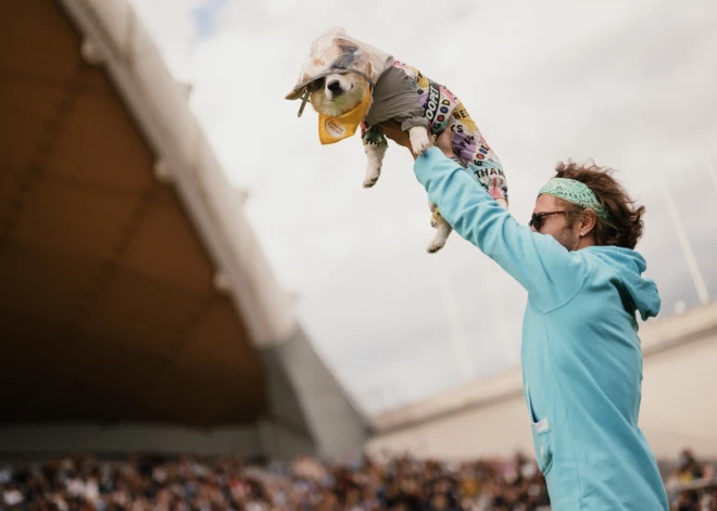 В минувшие выходные улицы столицы Литвы заполнили королевские корги и их хозяева, которые уже в четвертый раз приняли участие в забеге корги.