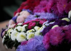 Pēc lietainas nakts trešdien uzspīdēs saule un kļūs siltāks