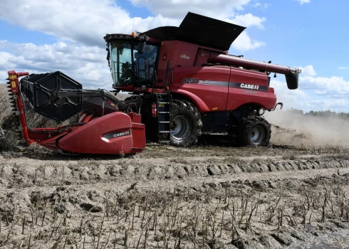 Иллюстративное фото.