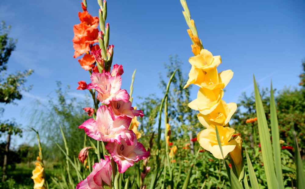 Trešdien Latvijā gaidāms pārsvarā sauss un mierīgs laiks