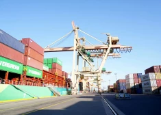 “Lauki grimst ūdenī, bet Rīga mūs neatbalsta” – zemnieki dusmīgi par domes lēmumu