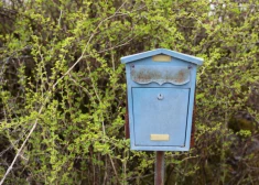 Latvijā no 2027. gada varētu pāriet uz preses piegādēm trīs reizes nedēļā