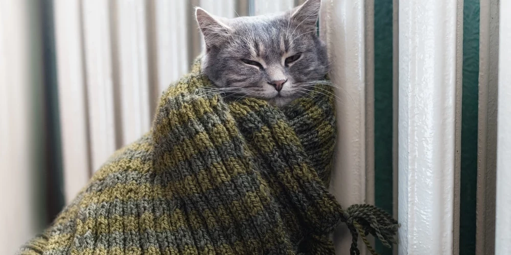 Тепло в Риге подорожает до 83,01 евро за мегаватт-час.