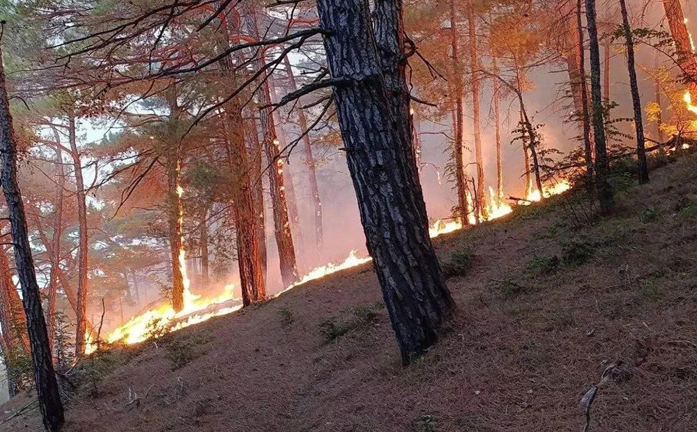 Ukrainas dronu uzbrukums izraisījis ugunsgrēku netālu no Putina vīna darītavas pie Gelendžikas