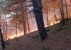 Ukrainas dronu uzbrukums izraisījis ugunsgrēku netālu no Putina vīna darītavas pie Gelendžikas
