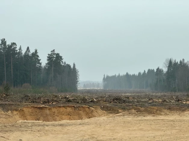 Трасса Rail Baltica лишит Латвию тысяч гектаров леса.
