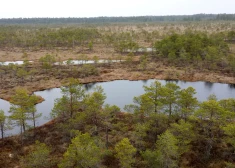 Purvu appludināšana - efektīva taktika, lai atvairītu militāru uzbrukumu?