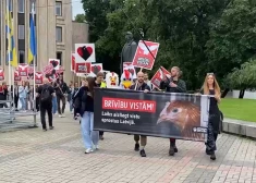 "Brīvību vistām!" Aktīvisti dodas protesta gājienā un aicina Latvijā aizliegt dējējvistu turēšanu sprostu sistēmās