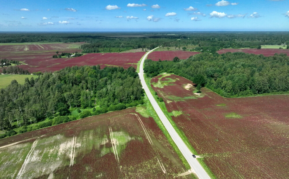 Valsts plāno piedāvāt zemes maiņu īpašniekiem, kuru īpašumi atrodas aizsargājamās teritorijās