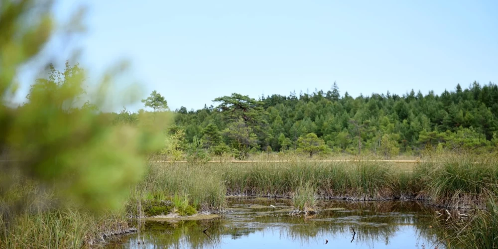 Augšdaugavas novadā no dīķa izcelts bojā gājis cilvēks.