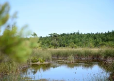 Augšdaugavas novadā no dīķa izcelts bojā gājis cilvēks