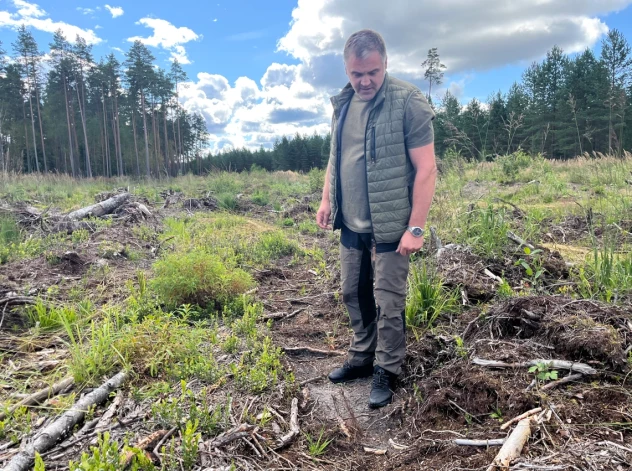 Šeit daļu jaunaudzes nākampavasar vajadzēs stādīt no jauna, uzskata LVM Ziemeļlatgales reģiona Meža apsaimniekošanas plānošanas reģiona vadītājs Aldis Laganovskis.
