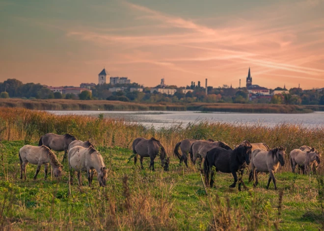 Aicina doties naksnīgā pārgājienā pa Pilssalu Jelgavā