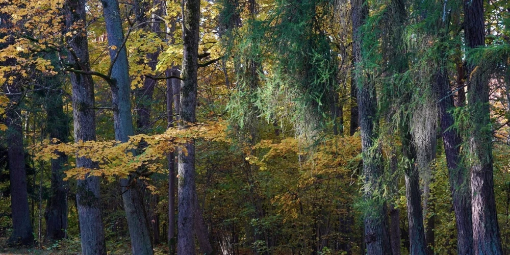 Иллюстративное фото.