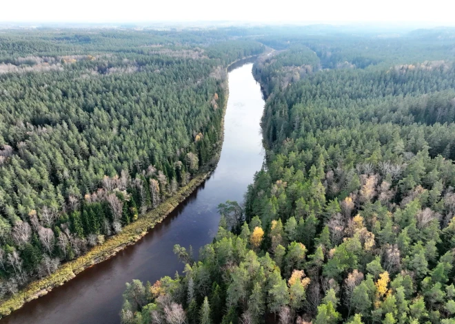 Par braukšanu ar motorizētu airu laivu Gaujas Nacionālajā parkā tūristiem draud 1000 eiro sods