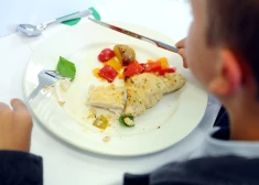 Школьников будут кормить местными продуктами: правительство утвердило план