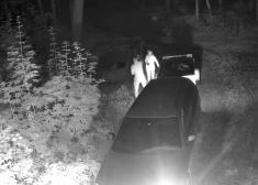 Приехали выбросить мусор под покровом ночи: в Вентспилсе ищут нарушителей, которые спутали кладбище со свалкой