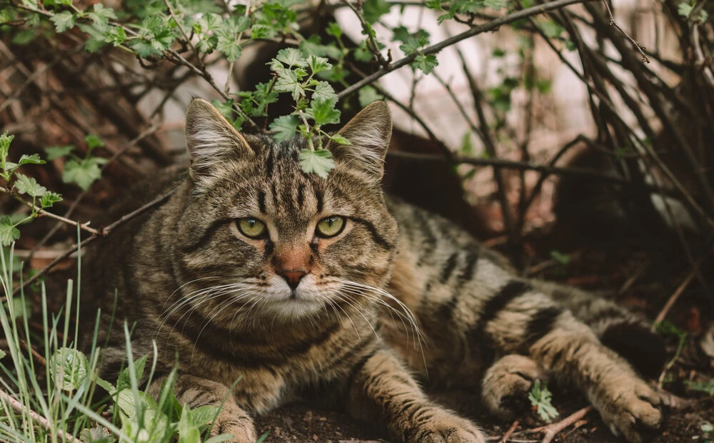 Svētdien gaiss iesils līdz +27 grādiem