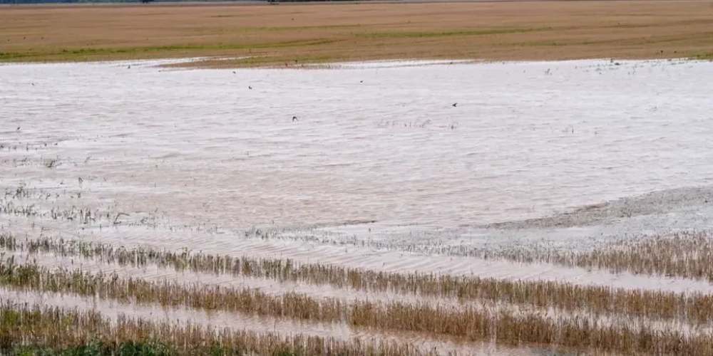 Visvairāk līdzekļu - 77 937 eiro - plānots piešķirt Augšdaugavas novada pašvaldībai. 