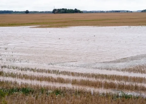 Visvairāk līdzekļu - 77 937 eiro - plānots piešķirt Augšdaugavas novada pašvaldībai. 