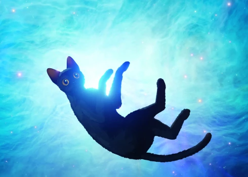 Apgāds "Zvaigzne ABC" ir izdevis bilžu (un vārdu) grāmatu “Straume”, kas tapusi pēc režisora Ginta Zilbaloža izcilās filmas motīviem un ir oficiāli apstiprināta filmas adaptācija. 