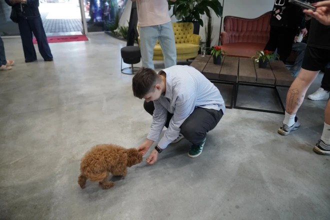 Emilijas četrkājainajam mīlulim Beilijam 4. septembrī bija četru mēnešu jubileja. Dziedātāja zina teikt, ka viņas toipūdelis, kad būs pieaudzis, augumā varot sasniegt 30 centimetru.