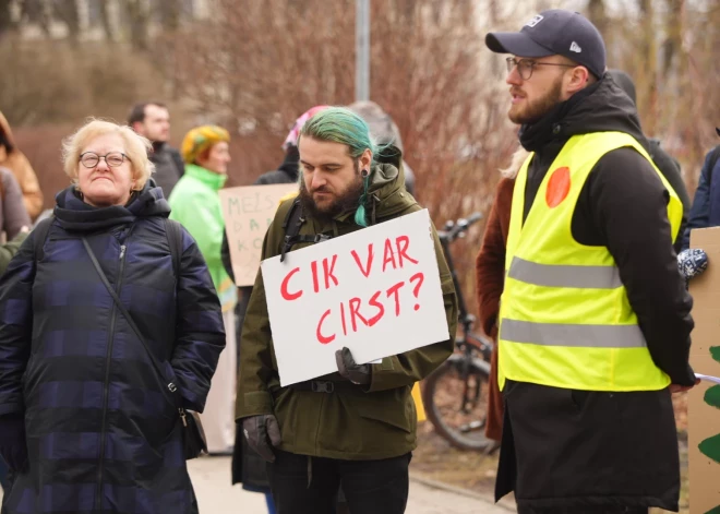 Vairāk nekā 20 organizācijas iebilst par Zemkopības ministrijas plāniem samazināt koku ciršanas vecumu neskaitāmiem kokiem
