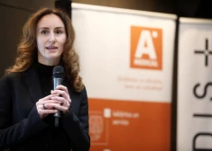 Palkova balsojumā par iecelšanu tiesībsarga amatā varētu rēķināties arī ar NA balsīm