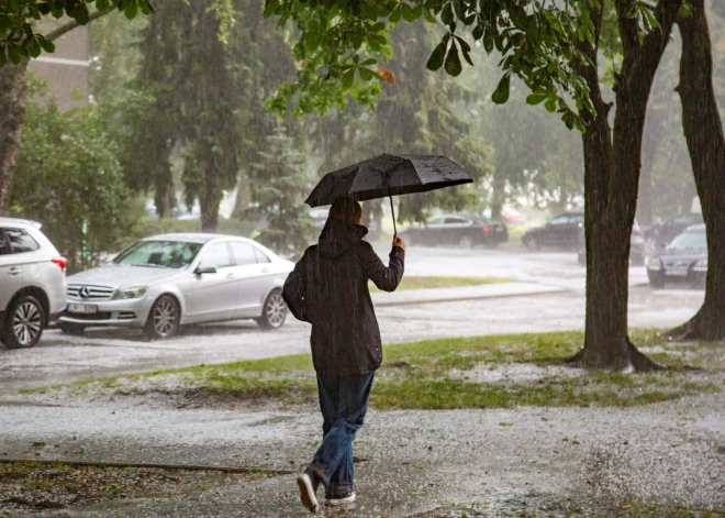 Sinoptiķi brīdina: ceturtdien iespējami lūstoši koki un zari stiprā vēja dēļ