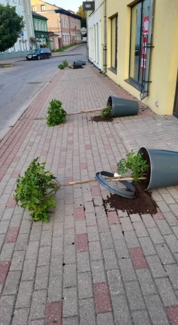 Ceturtdienas rītā tukumnieki pamodās zaudējuši smukumu – Pils ielā bija apgāzti un izsvaidīti puķupodi.